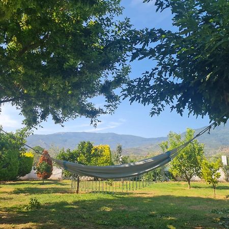 Ktima Nostos Lägenhet Volos Exteriör bild